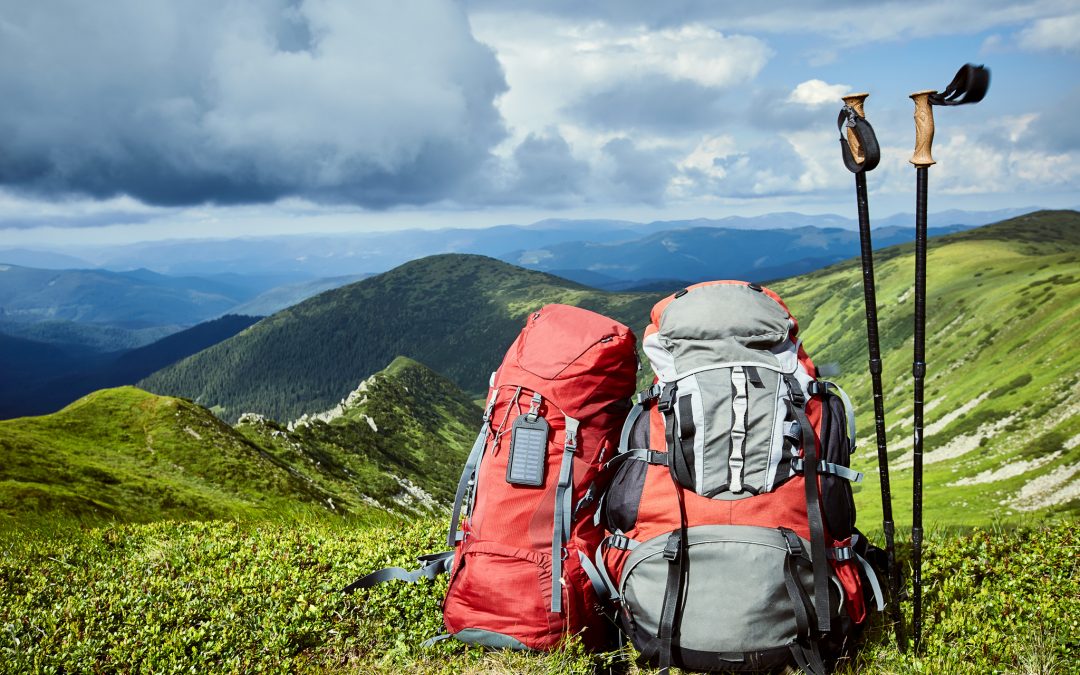 Aliquam orci neque consequat