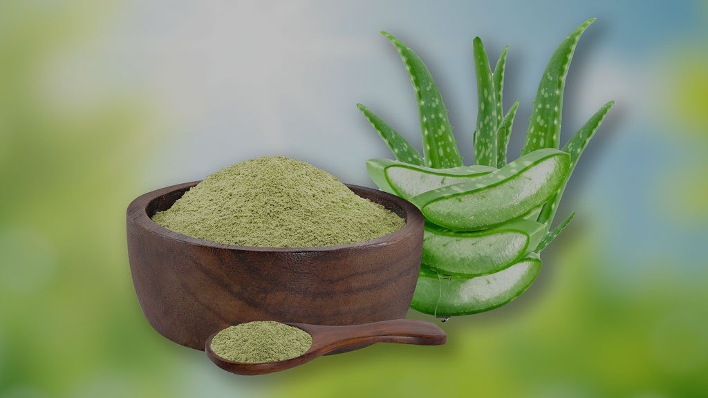 Introduction to Acemannan